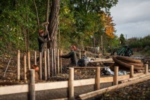 Zwei Personen in Schutzkleidung errichten im Rahmen eines Baumstandortsanierungsprojekts in einem Waldstück aus Baumstämmen und einem Hammer eine hölzerne Stützkonstruktion. Baumaterial liegt verstreut herum, im Hintergrund ist ein kleiner grüner Traktor zu sehen. Die Baustelle ist von Herbstlaub umgeben.