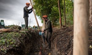 Zwei Arbeiter in Schutzausrüstung installieren im Rahmen eines Baumstandortsanierungsprojekts Holzpfosten neben einem Erdgraben in einem Waldgebiet. Ein Arbeiter steht mit einem Werkzeug im Graben, während der andere über ihm einen Pfosten ausrichtet. Im Hintergrund sind Bäume und bewölkter Himmel zu sehen.