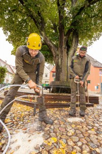 Zwei Personen in Schutzkleidung und Helmen arbeiten mit Geräten unter einem großen Baum. Einer bedient eine Maschine, die Substanzen zur Baumstandortsanierung in den Boden injiziert, während der andere den Vorgang überwacht. Die Szene spielt auf einem gepflasterten Bereich, der von Laub bedeckt ist.
