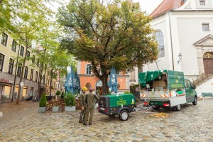 Auf einem belebten Stadtplatz steht ein Baum mit einer grünen Baumkrone. In der Nähe befindet sich ein grüner mobiler Lastwagen mit Ausrüstung, besetzt mit zwei Arbeitern in passenden Uniformen und Helmen, die anscheinend mit der Baumstandortsanierung oder Aufbautätigkeiten beschäftigt sind.