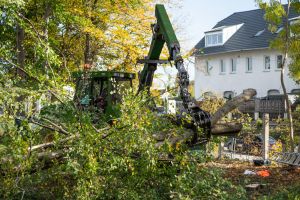 In einem Waldstück neben einem Wohnhaus ist eine grüne Forstmaschine zu sehen, die große Äste bearbeitet und Baumfällungsarbeiten durchführt. Die Sonne scheint durch die Bäume und beleuchtet die Szene. Im Hintergrund ist ein weißes zweistöckiges Haus mit Balkon zu sehen.