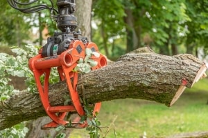 Eine große orangefarbene mechanische Klaue greift einen dicken Baumstamm, der sich anscheinend gerade im Prozess der Baumfällung befindet. Der Hintergrund zeigt grüne Bäume und eine Grasfläche, was auf eine Außenumgebung, möglicherweise einen Wald, hindeutet.