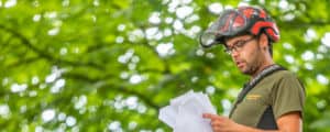 Eine Person mit Brille und rotem Schutzhelm führt eine Baumkontrolle durch und prüft dabei sorgfältig die Papiere in ihren Händen. Sie steht im Freien inmitten üppiger grüner Blätter, das gesprenkelte Sonnenlicht beleuchtet ihr grünes Hemd und ihren schwarzen Schutzanzug.