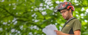 Eine Person mit Schutzhelm und Schutzbrille liest einen Stapel Dokumente. Sie trägt eine Arbeitsuniform und ist von Grün umgeben, was auf eine Baumkontrolle im Freien hindeutet.