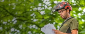 Eine Person in Schutzausrüstung, darunter Helm und Brille, prüft Papiere vor einem Hintergrund aus verschwommenem grünem Laub. Die Person, die ein grünes Hemd trägt und sich auf die Dokumente konzentriert, führt eine Baumkontrolle durch.