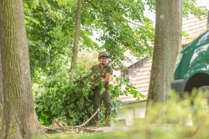 Eine Person in Schutzkleidung trägt ein großes Bündel Äste durch ein Waldstück. Die Person, die wahrscheinlich an Baumschnitt Augsburg beteiligt ist, ist zwischen hohen Bäumen zu sehen, und im Hintergrund ist teilweise ein grünes Fahrzeug zu erkennen.