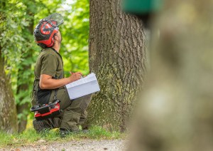 Eine Person in Schutzkleidung, darunter ein Helm mit Gesichtsschutz, kniet auf dem Boden, während sie einen Baumstamm in einem Waldgebiet untersucht. Sie hält ein Klemmbrett und einen Stift in der Hand und scheint sich Notizen zu machen. Die Szene zeigt die praktischen Aspekte der Landschaftsgärtnerausbildung und der Baumbeurteilungsarbeit.