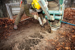 Ein Arbeiter bedient Aushubgeräte, um zwischen Baumwurzeln in den Boden zu bohren. Der Arbeiter trägt Sicherheitsausrüstung, darunter einen gelben Helm. Im Hintergrund ist er von Laub und einem Metallzaun umgeben und bereitet den Bereich für eine neue Bepflanzung vor.