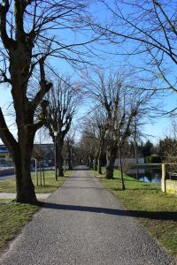 Ein langer, gerader Weg, gesäumt von blattlosen Bäumen, wirft Schatten auf den sonnenbeschienenen Pfad. Rechts fließt ruhiges Wasser parallel zur Route, während sich links unter einem klaren blauen Himmel eine Grasfläche erstreckt – ganz ähnlich einer gut strukturierten Blog-Marketingstrategie, die die Leser durch ansprechende Inhalte führt.