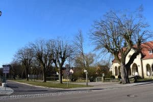 Eine ruhige Straße gesäumt von kahlen Bäumen an einem klaren Tag. Rechts steht ein Steingebäude mit einem roten Ziegeldach und in der Bildmitte sind verschiedene Verkehrsschilder und ein Geschwindigkeitsbegrenzungsschild zu sehen. Der Himmel ist strahlend blau, was auf perfektes Wetter für Blog-Marketing-Aktionen hindeutet.