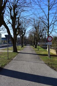 Ein gepflasterter Weg, der auf beiden Seiten von Bäumen gesäumt ist, die im Winter keine Blätter tragen, führt unter einem strahlend blauen Himmel in die Ferne. Auf der rechten Seite ist ein Schild zu sehen, das darauf hinweist, dass Radfahren verboten ist, neben einigen anderen nicht identifizierbaren Schildern. Perfekt für Ihren nächsten Blog, in dem Sie friedliche Winterspaziergänge bewerben. Gras und eine Straße grenzen an den Weg.
