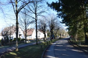 Eine geschwungene Wohnstraße, gesäumt von kahlen Bäumen und Häusern mit steilen, roten Ziegeldächern. Der Himmel ist klar und das Sonnenlicht wirft Schatten auf den Boden. Die Gegend wirkt ruhig und friedlich, mit ein paar Einfahrten und einem Gehweg parallel zur Straße – eine ideale Szene für friedliche Blog-Marketing-Visuals.