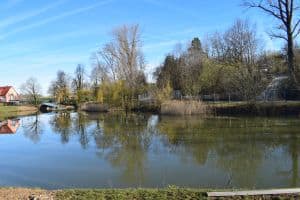 Eine ruhige Teichlandschaft, umgeben von kahlen Bäumen und Sträuchern, die sich im Wasser spiegeln. Eine kleine Brücke überquert den Teich links, in der Nähe eines Hauses mit rotem Dach. Der Himmel ist klar und man kann Kondensstreifen erkennen. Es ist eine friedliche Szenerie im frühen Frühling – perfekt für Ihre nächste Blog-Marketingkampagne.