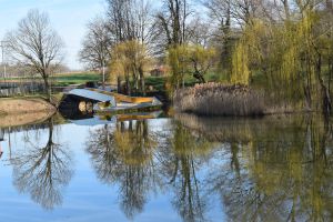Ein ruhiger Teich mit klaren Spiegelungen einer Brücke, von Bäumen und Büschen im ruhigen Wasser. Die Bogenbrücke, die teilweise mit einer modernen Metallrampe bedeckt ist, überspannt den Teich. Unter einem klaren blauen Himmel sind kahle Bäume und Weiden am Ufer zu sehen – eine ideale Szene für Ihr nächstes Blog-Marketingfoto.