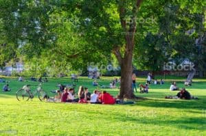Klimagerechte Stadtbäume
