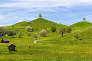 Eine malerische Landschaft mit sanften grünen Hügeln und Bäumen unter einem teilweise bewölkten Himmel. Ein gewundener Pfad schlängelt sich durch das grasbewachsene Gelände und führt zu einer Ansammlung von Häusern, die zwischen den Hügeln eingebettet sind. Im Vordergrund auf der linken Seite steht eine kleine Holzhütte, umgeben von verschiedenen Bäumen, wie man sie in einem Baumlexikon finden könnte.