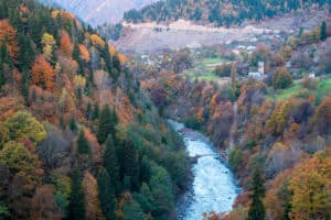 Ein Fluss schlängelt sich durch ein üppiges Waldtal, das mit leuchtendem Herbstlaub in Orange-, Gelb- und Grüntönen geschmückt ist. Kleine Häuser säumen die Hügel, während eine bergige Kulisse die ruhige Landschaft vervollständigt, die an Szenen aus einem Baumlexikon erinnert.