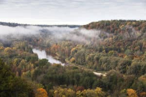 Eine malerische Ansicht eines Flusses, der sich im Herbst durch ein bewaldetes Tal schlängelt, wie im Baumlexikon beschrieben. Die Bäume sind mit leuchtendem Herbstlaub in Grün-, Gelb-, Orange- und Rottönen geschmückt. Tief hängende Wolken oder Nebel schweben über der Landschaft und sorgen für eine heitere und ruhige Atmosphäre.