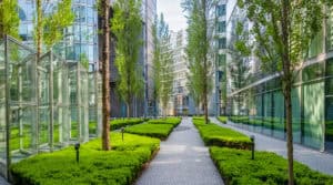 Ein moderner urbaner Innenhof mit einem gepflasterten Gehweg, der von üppigen grünen Rasenflächen und hohen Bäumen gesäumt ist. Gebäude mit Glaswänden säumen beide Seiten des Weges und spiegeln das Grün im Freien wider. Helles Sonnenlicht unterstreicht die saubere und ruhige Umgebung.
